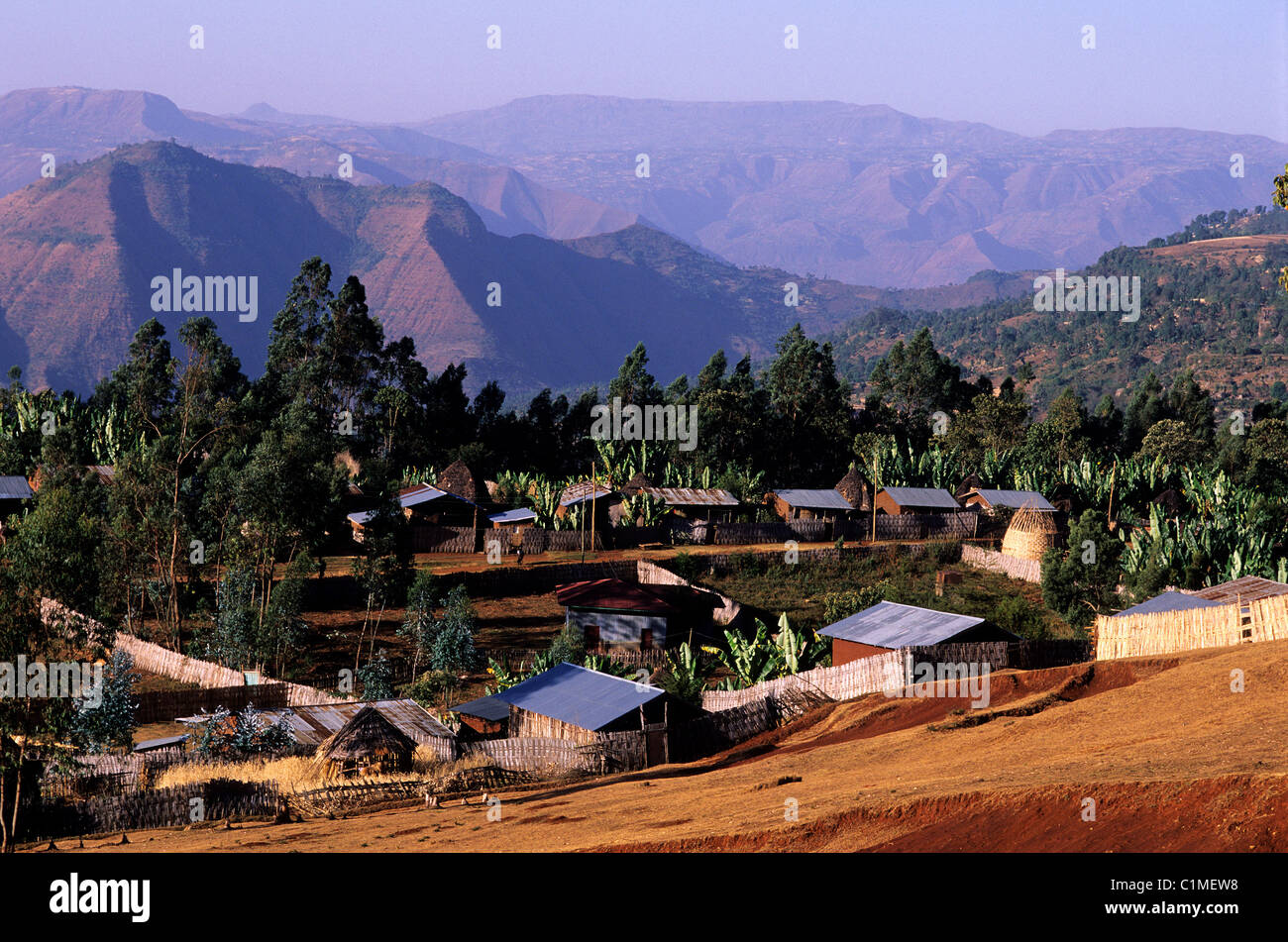 Ethiopia, the Rift valley, the village of Dorze in the Guge Mountains Stock Photo