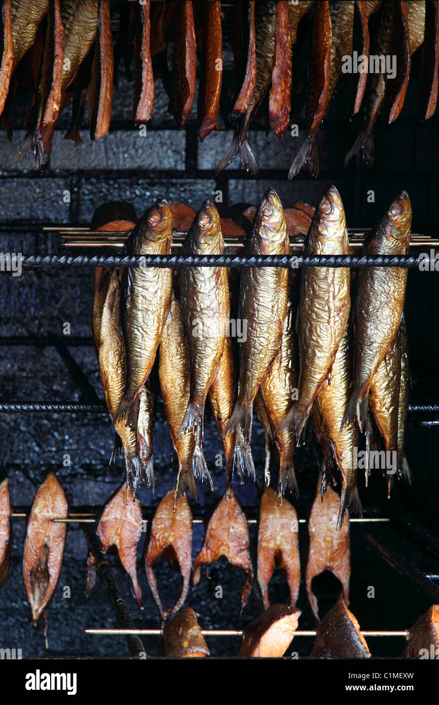 cured mackerels and fish fillets for sale at Baltic Sea in Mecklenburg- Western Pomerania, Germany Stock Photo