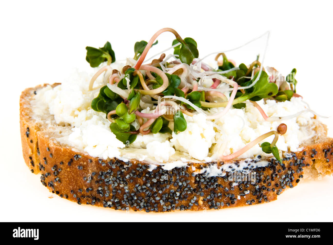 A slice of bread with poppy seeds, with cottage cheese and radish sprouts Stock Photo