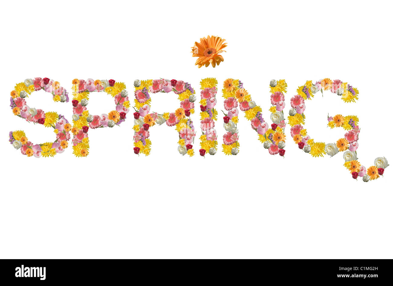 The word spring written in flower made letters Stock Photo - Alamy