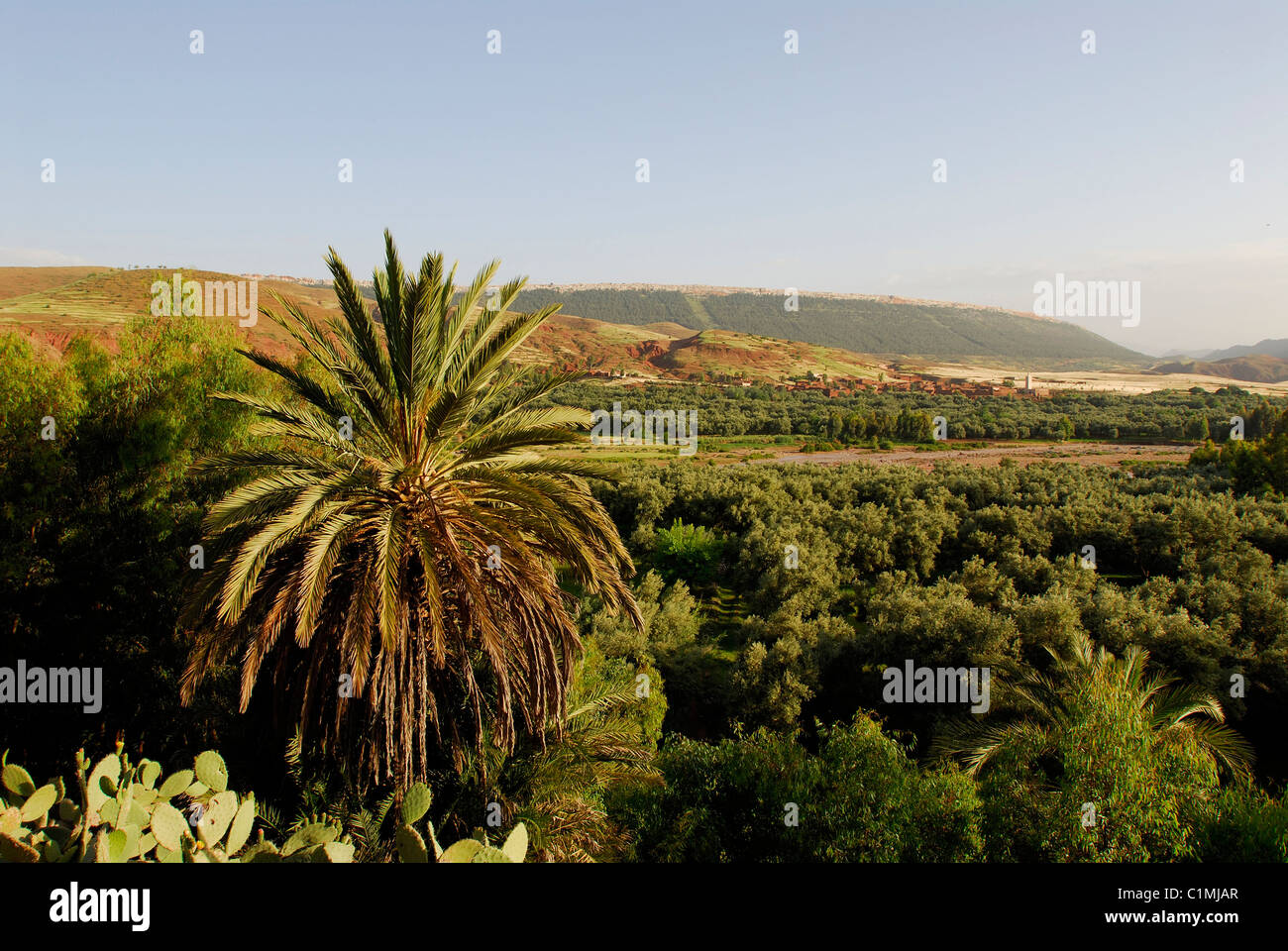 Oued zat valley hi-res stock photography and images - Alamy