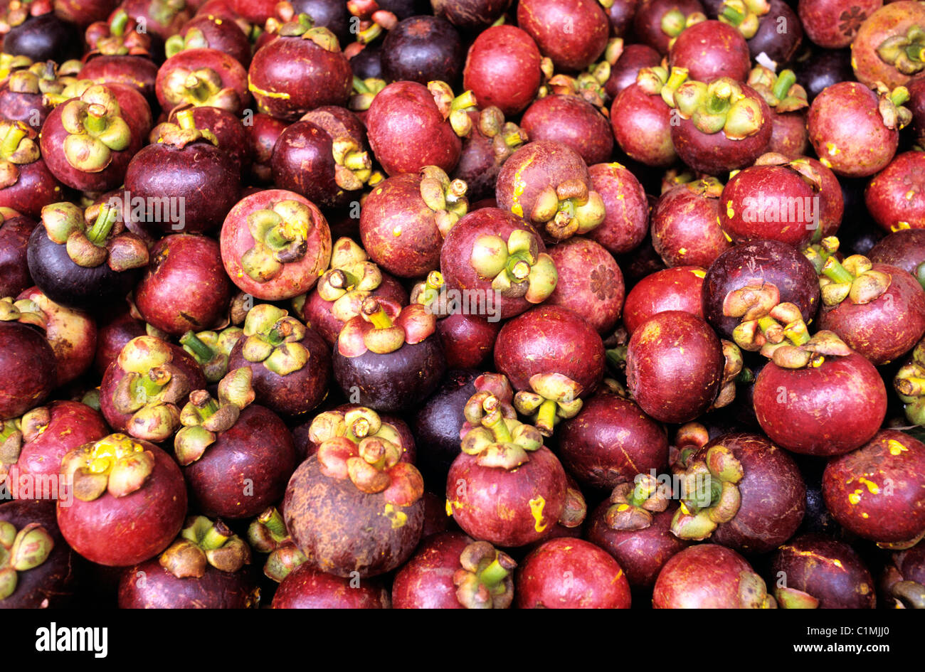 Thailand, stall of mangoustans Stock Photo
