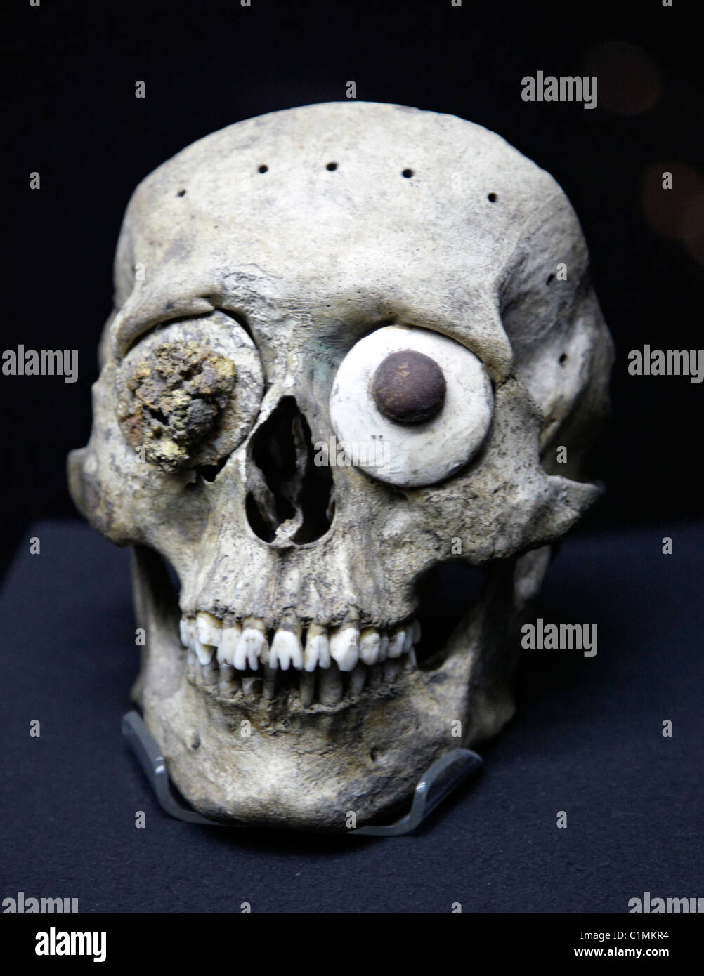 Aztec Stone Skull Templo Mayor Museum Mexico City Stock Photo