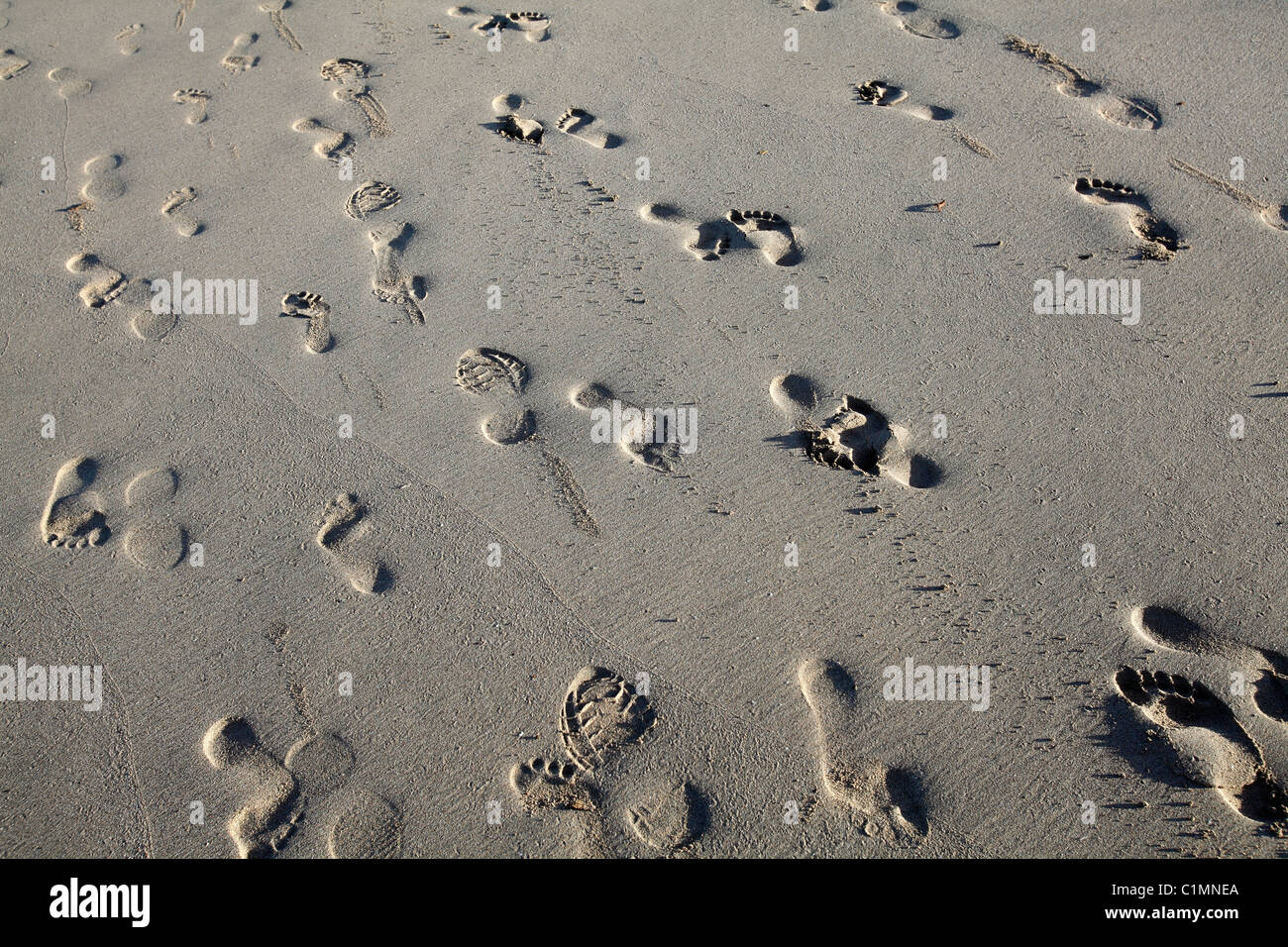 footprints in the sand, Playa Avellanas, Nicoya Peninsula, Costa Rica ...