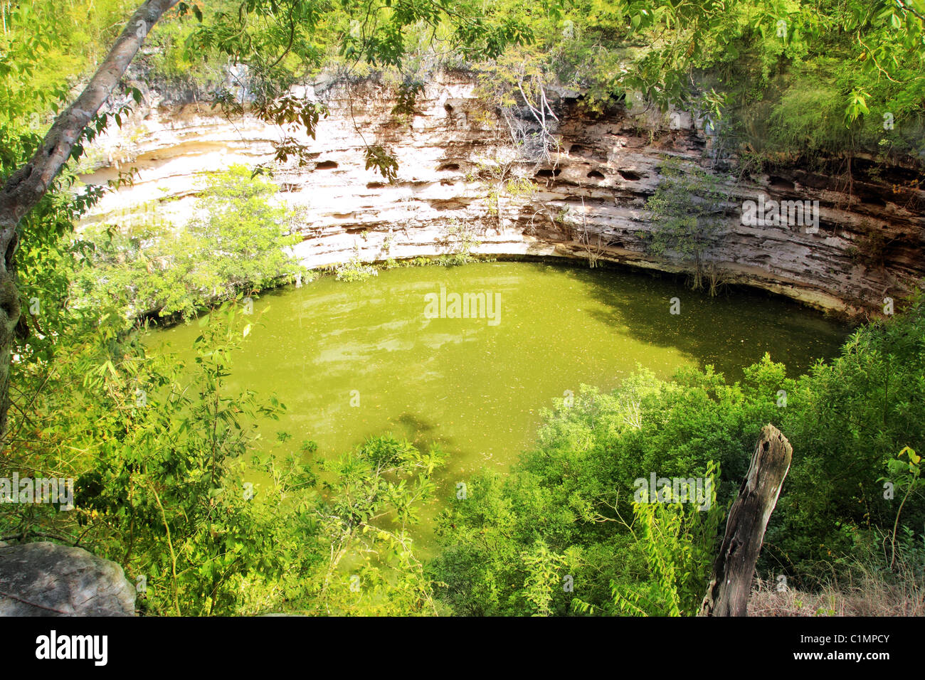 Cenote Sagrado Xtoloc Sacred Well Chichen Itza Mayan Mexico Yucatan Stock Photo