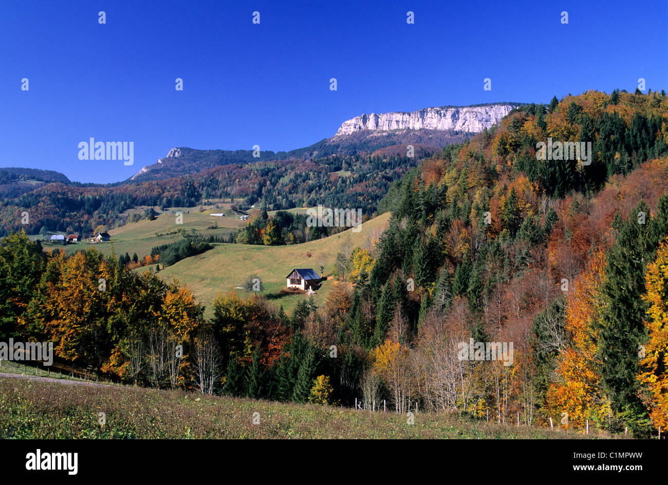France, Savoie, Chartreuse Regional Nature Park Stock Photo