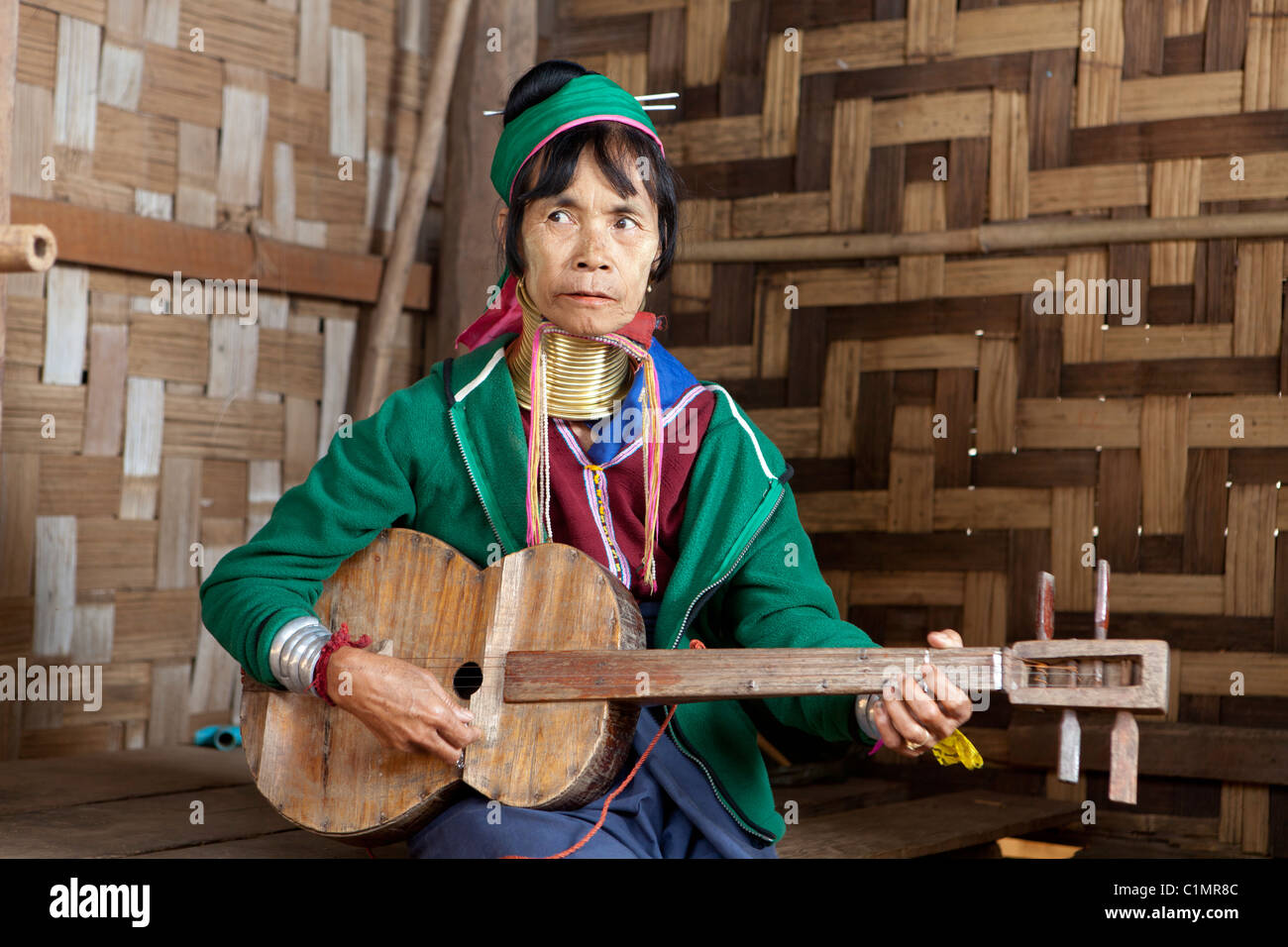 Long neck guitar like instrument best sale