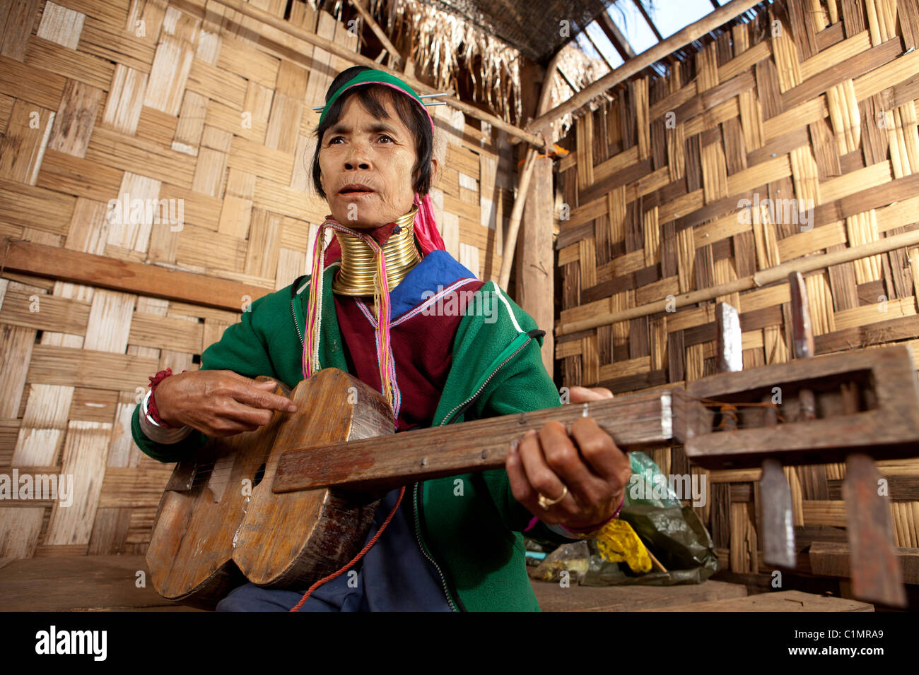 Long neck on sale guitar like instrument