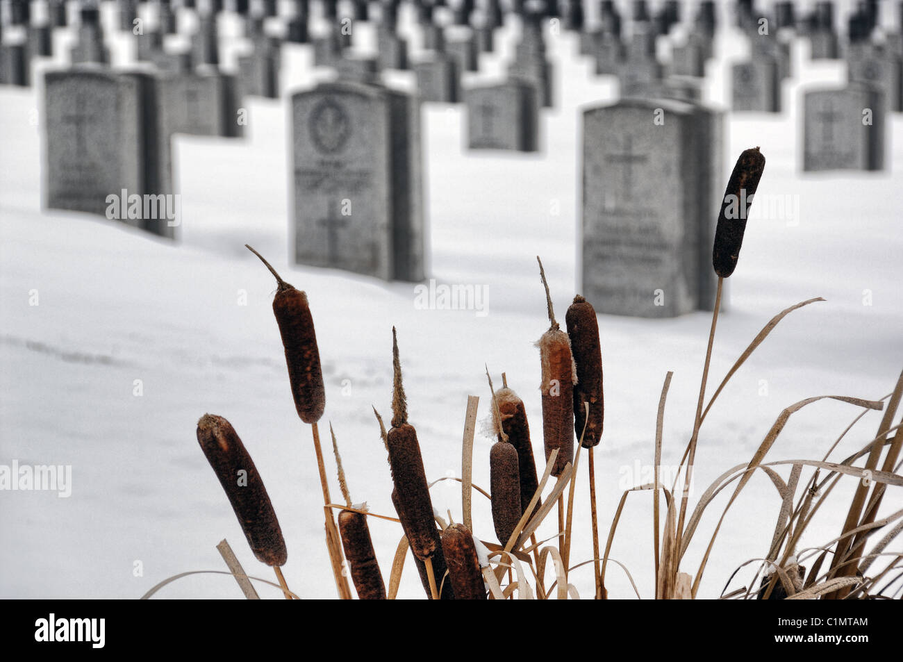 Burnsland Military Cemetery - Calgary Alberta Canada Stock Photo
