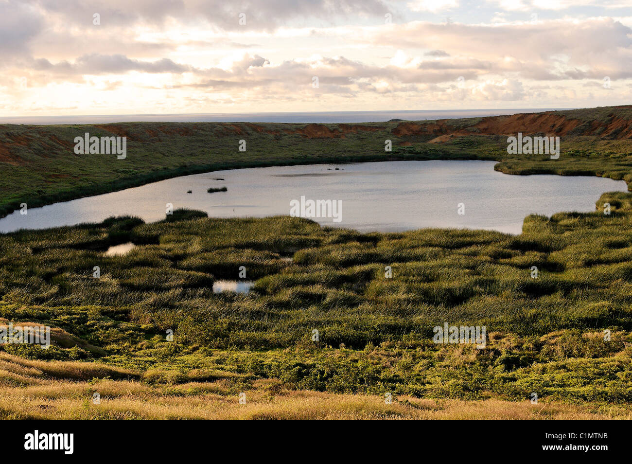Rano Raraku Reeds Chile Easter Island a freshwater lake bordered by reeds called tortora ...
