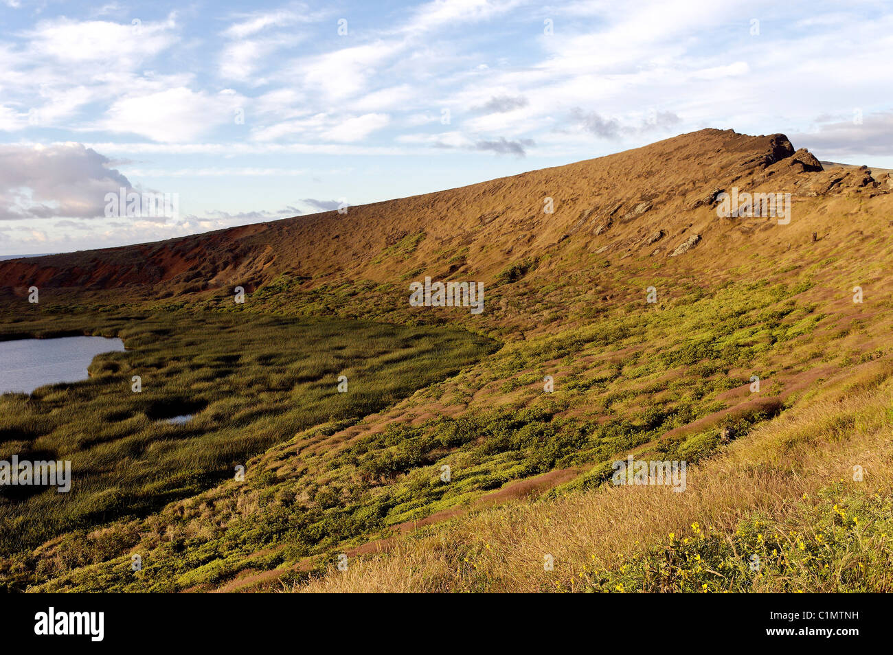 Rano Raraku Reeds Chile Easter Island a freshwater lake bordered by reeds called tortora ...