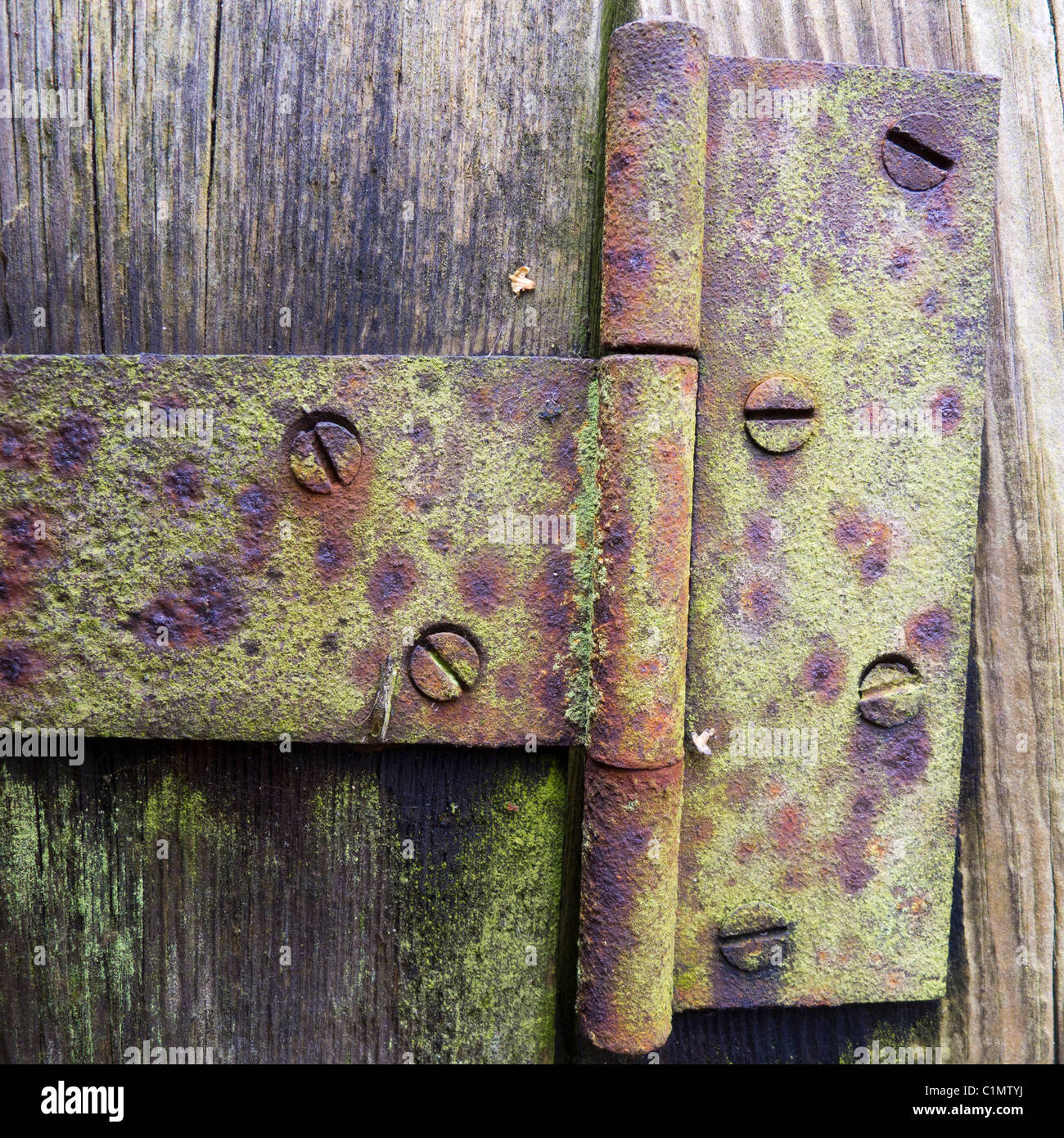 Wooden gate with old metal hinges hires stock photography and images