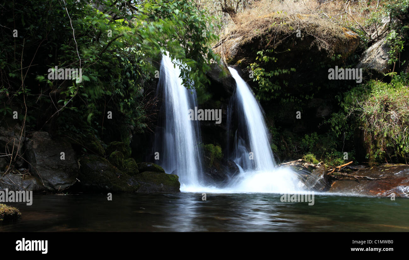 Water stream in Nepal Himalaya Stock Photo Alamy