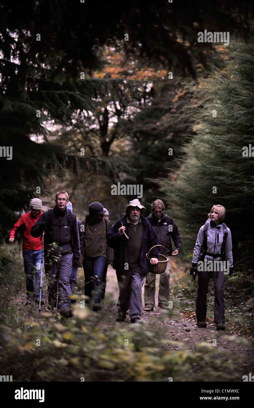 Foraging expert Raoul Van Den Broucke leads a tour party through woodland near Upper Llanover Gwent Wales UK Stock Photo