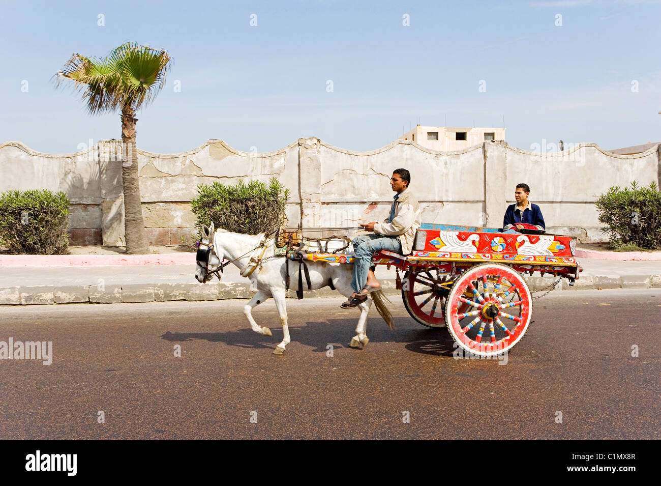 Egypt, city of Alexandria, along the Corniche Stock Photo
