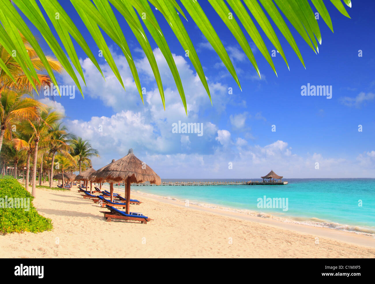 Palm sunroof sunny beach hi-res stock photography and images - Alamy