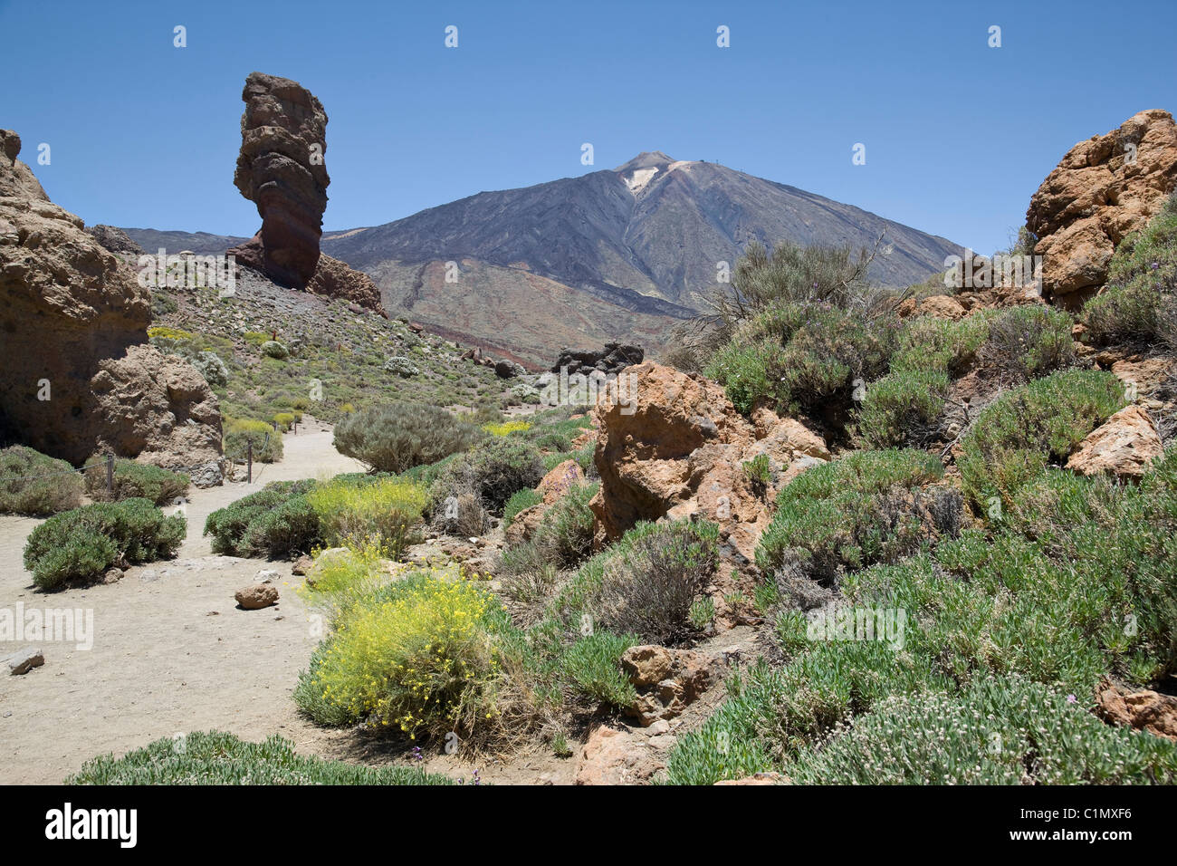 Tenerife, Parc Nacional del Teide Stock Photo