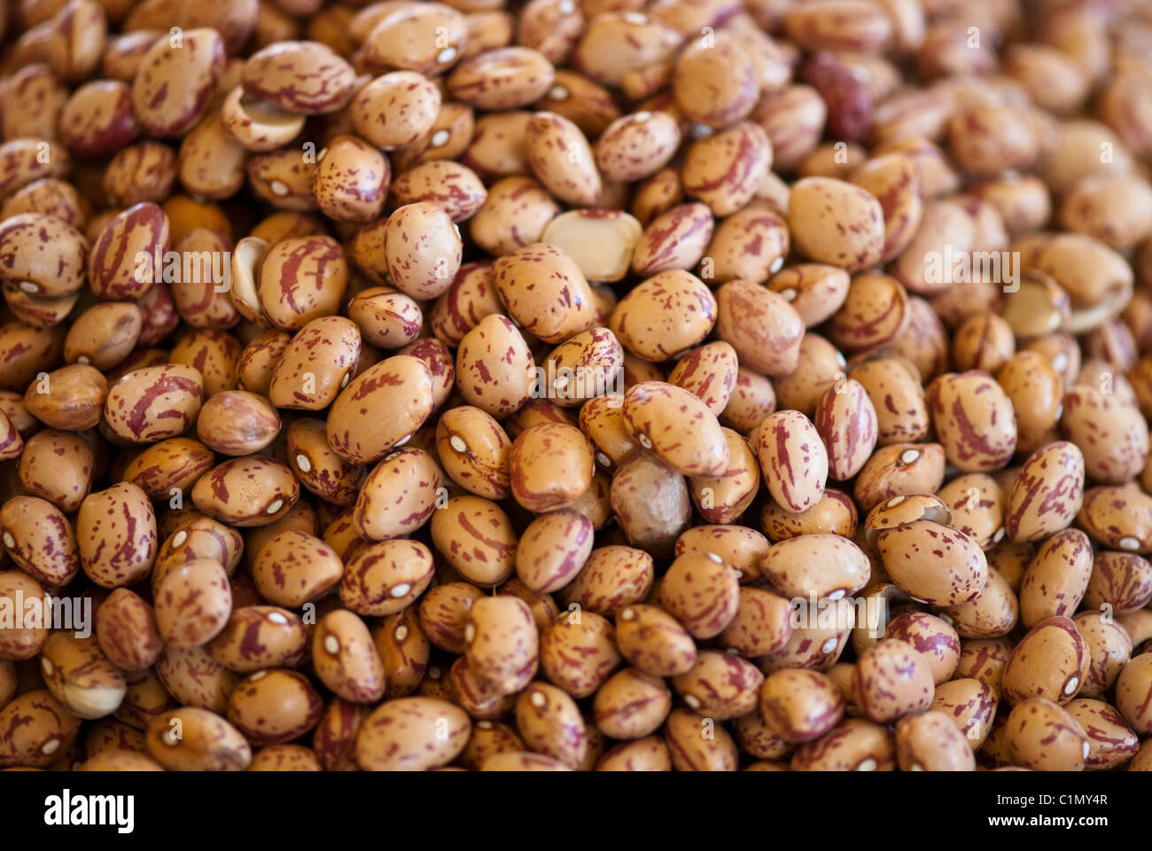 Bucket of Beans in a Tuscan Market, Italy Stock Photo