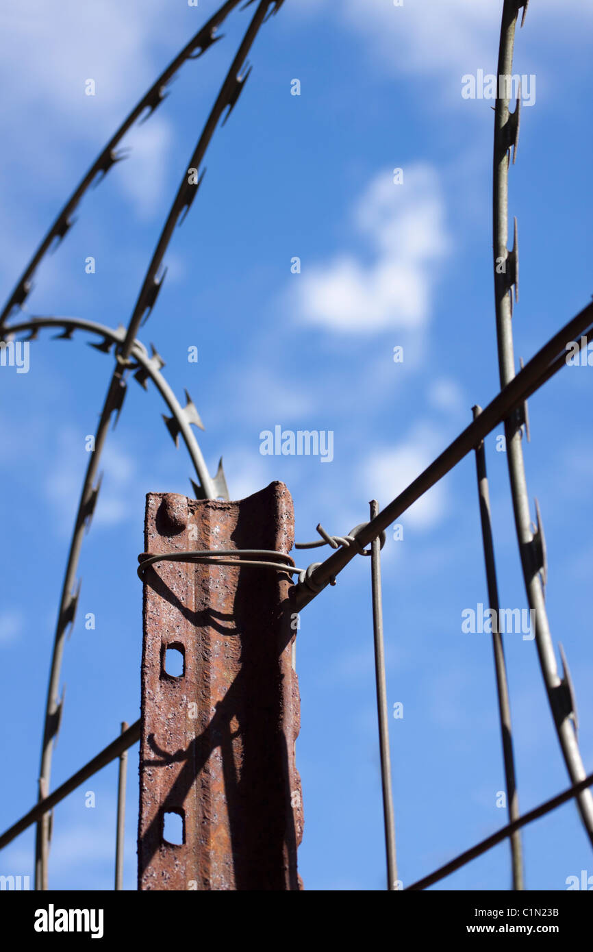 Coiled razor wire mounted on a boundary fence for security Stock Photo ...