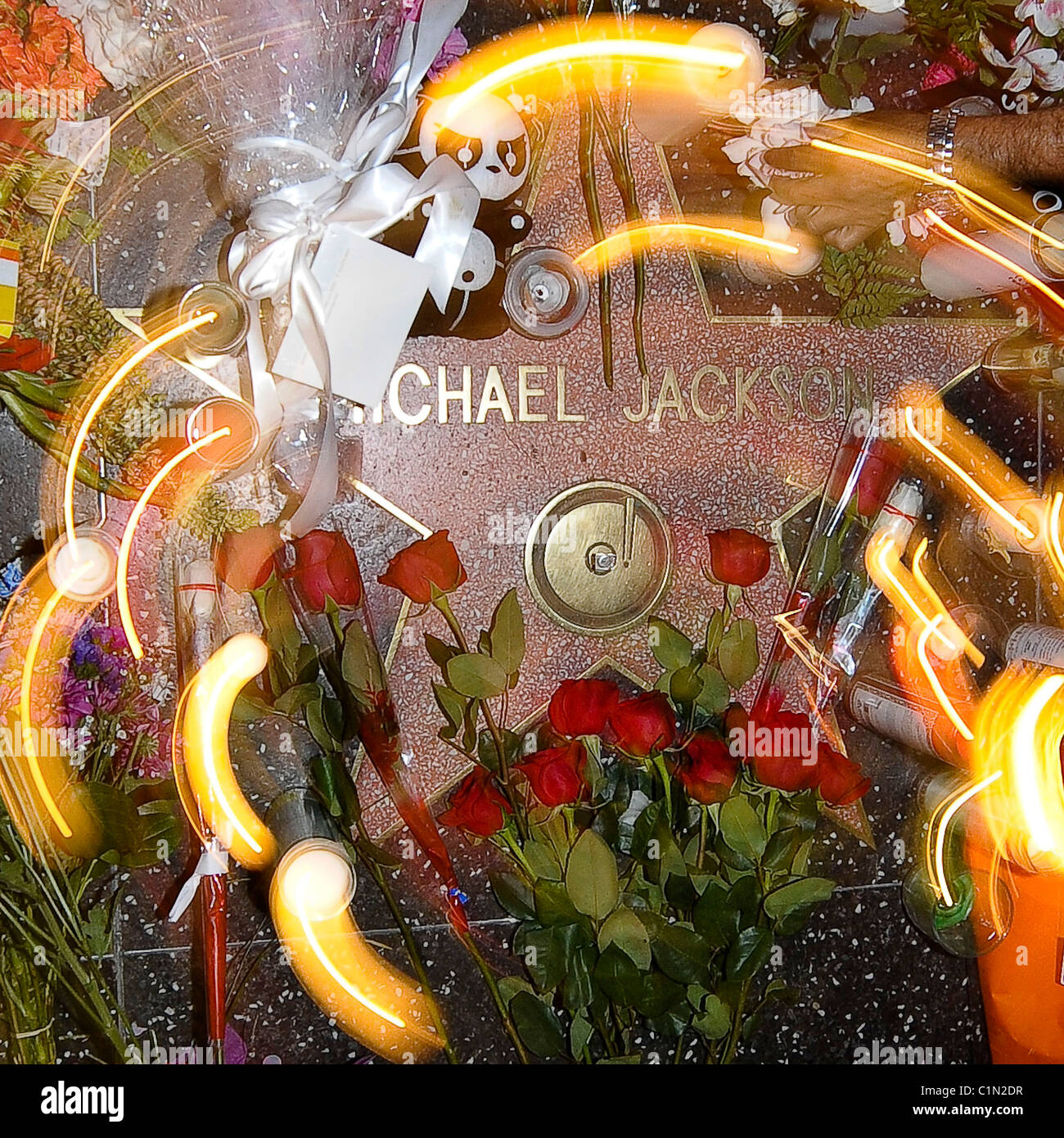 My Image 24