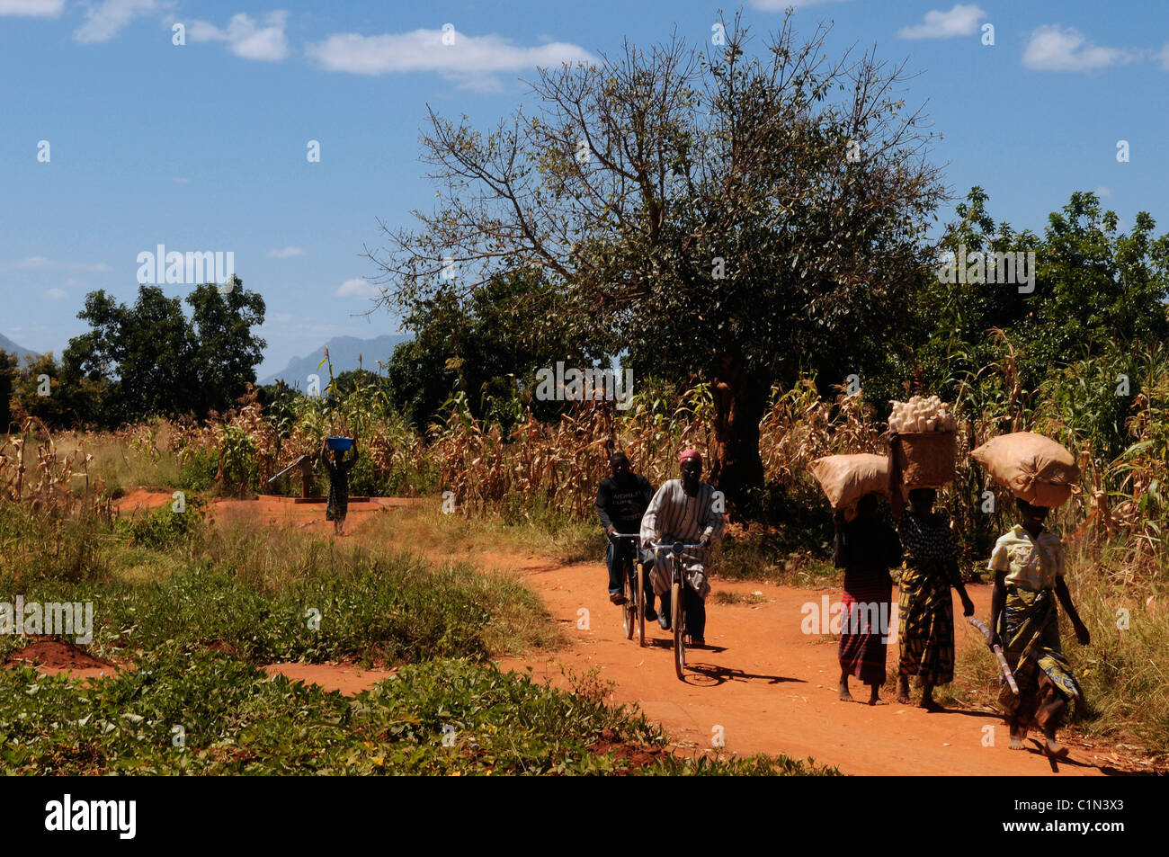 villagers in a rural area in Malawi Africa Stock Photo Alamy