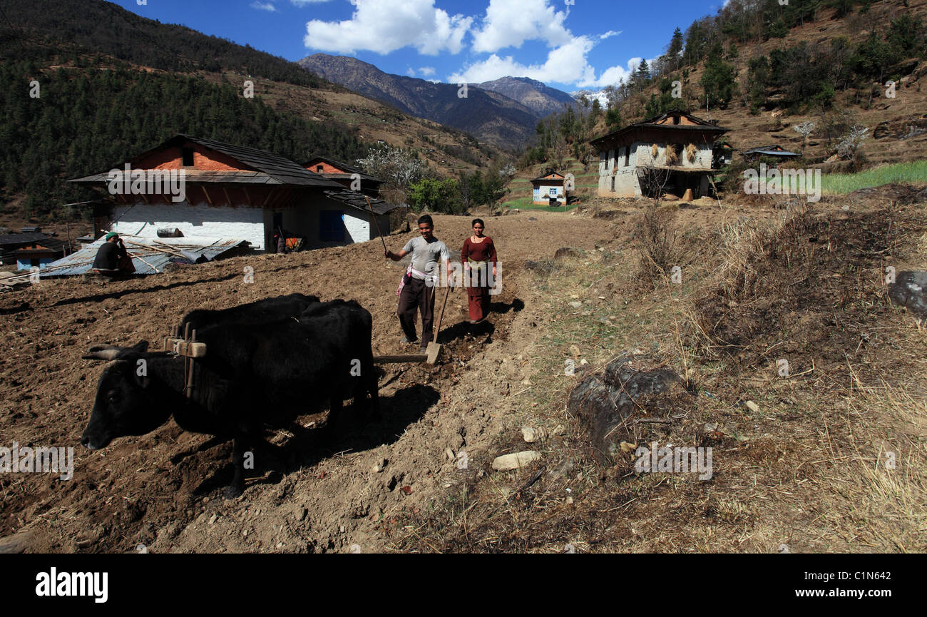 Nepali landscape Nepal Himalaya Stock Photo