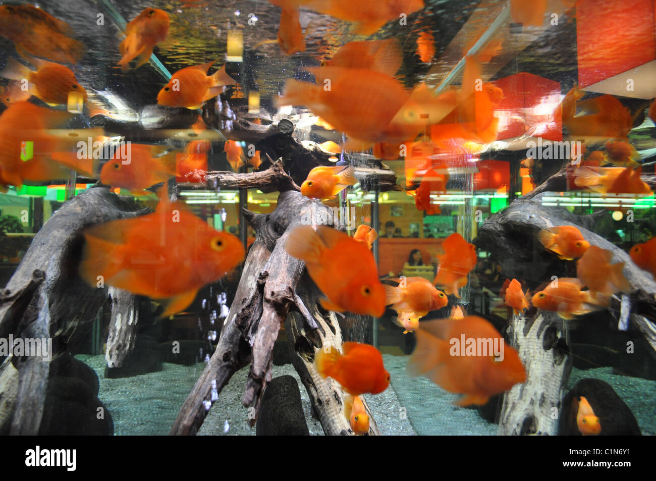 The plural hires stock photography and images Alamy