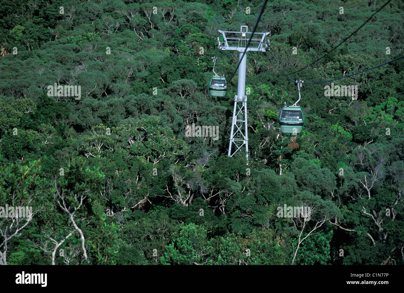 Australia, Queensland, Cairns, Rain Forest cablecar Stock Photo Alamy