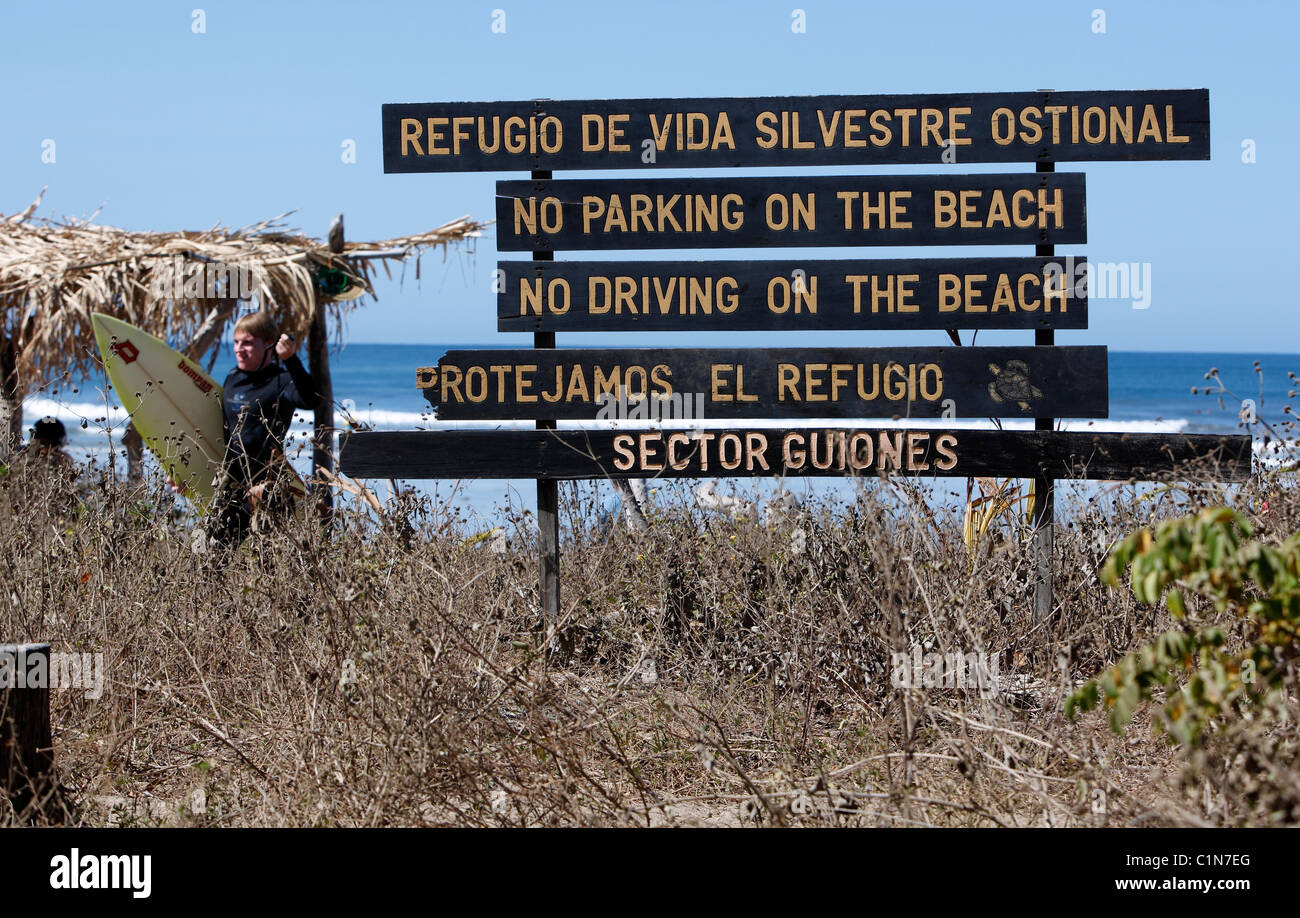 A surfer walks past a sign on the protected beach of Guiones, Nicoya Peninsula, Costa Rica Stock Photo