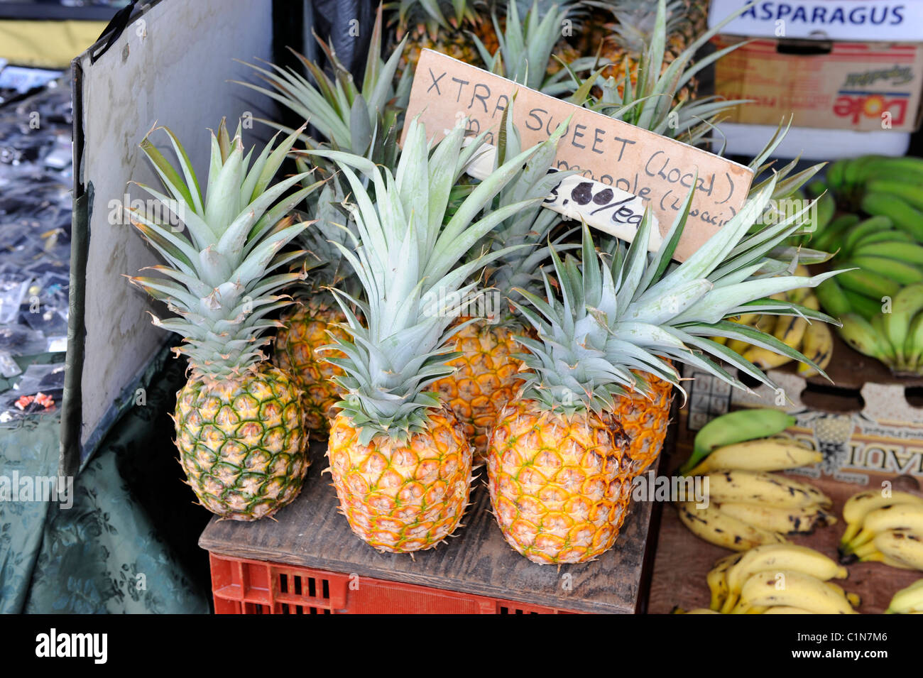 Hawaii kona beach family hires stock photography and images Alamy