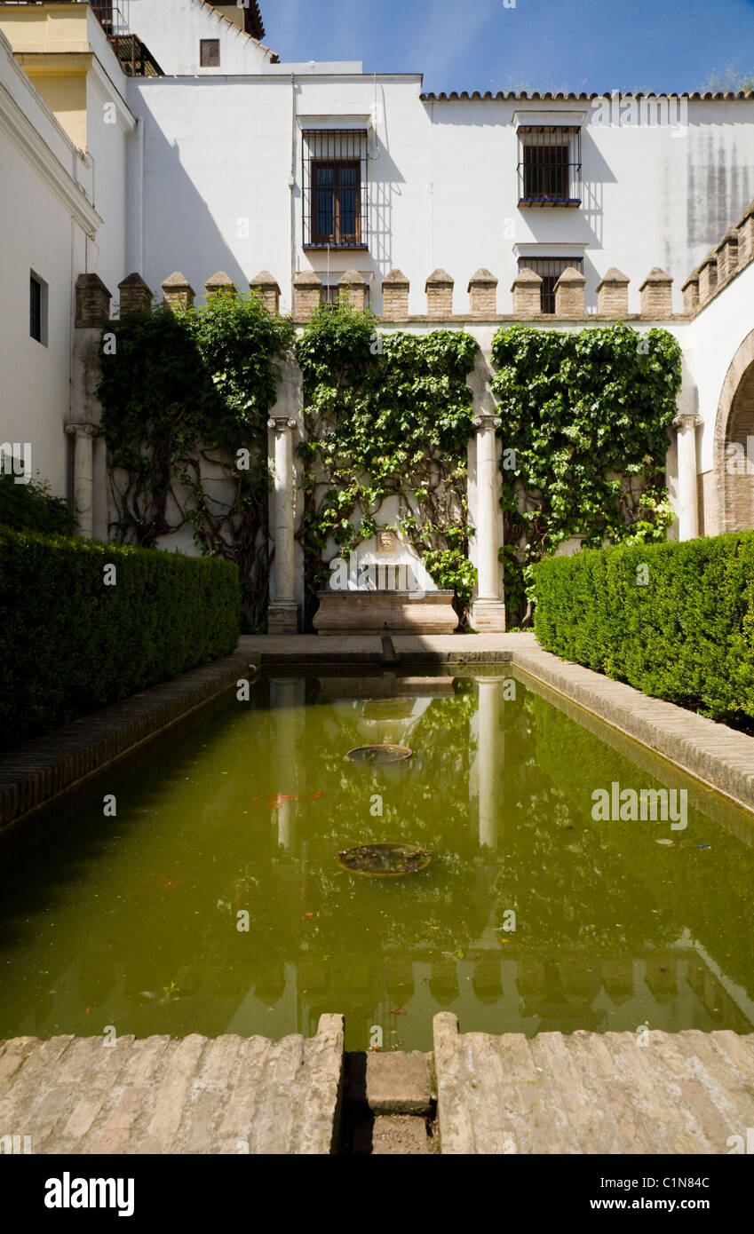 Courtyard with ornamental water pond at the Real Alcazar De Sevilla