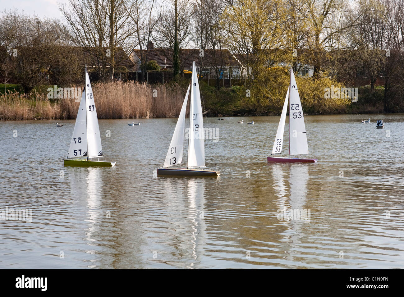 radio controlled yachts on a boating lake in the apex park highbridge somerset uk Stock Photo