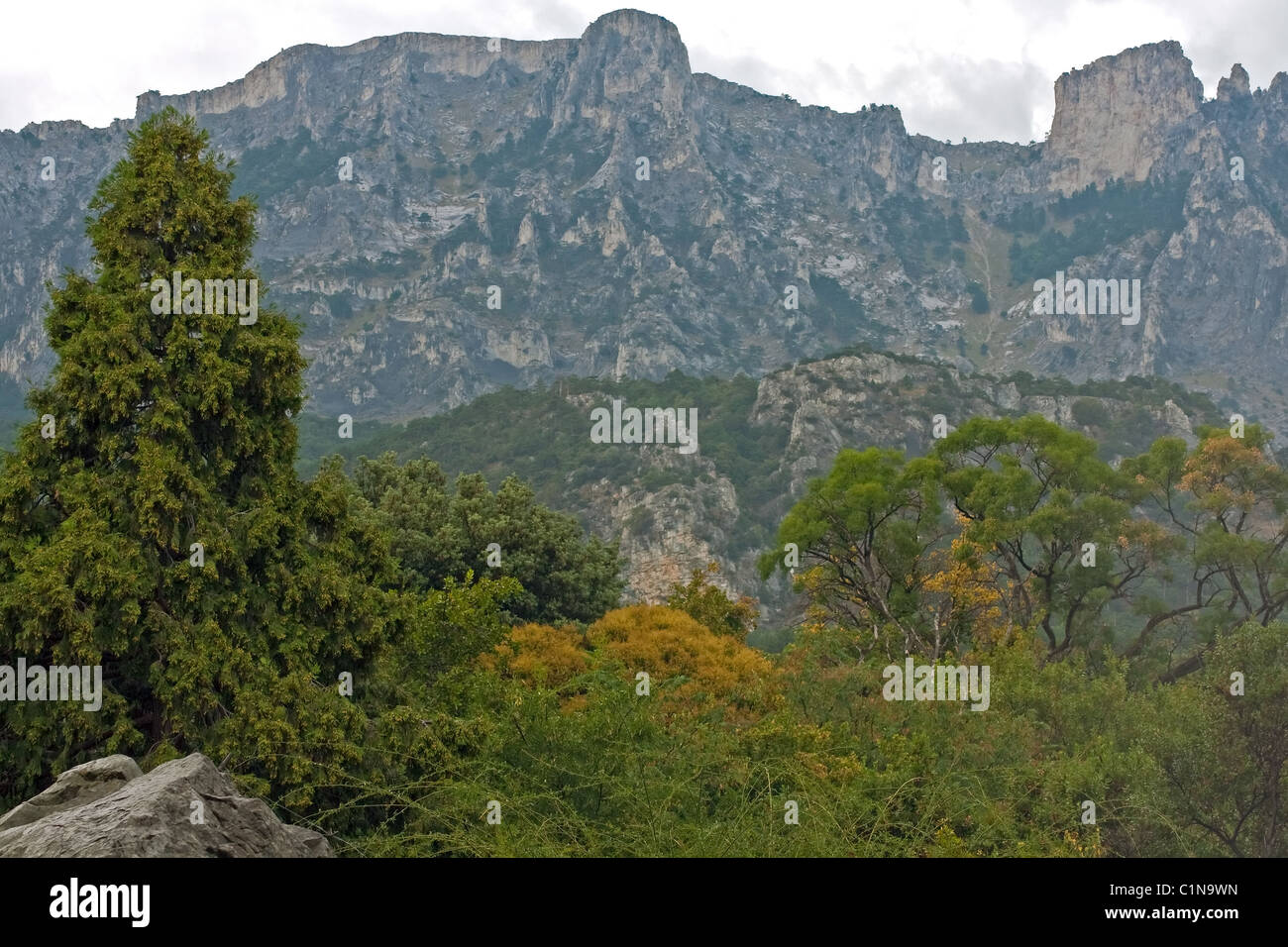 mountain Ay Petri in Crimea Stock Photo