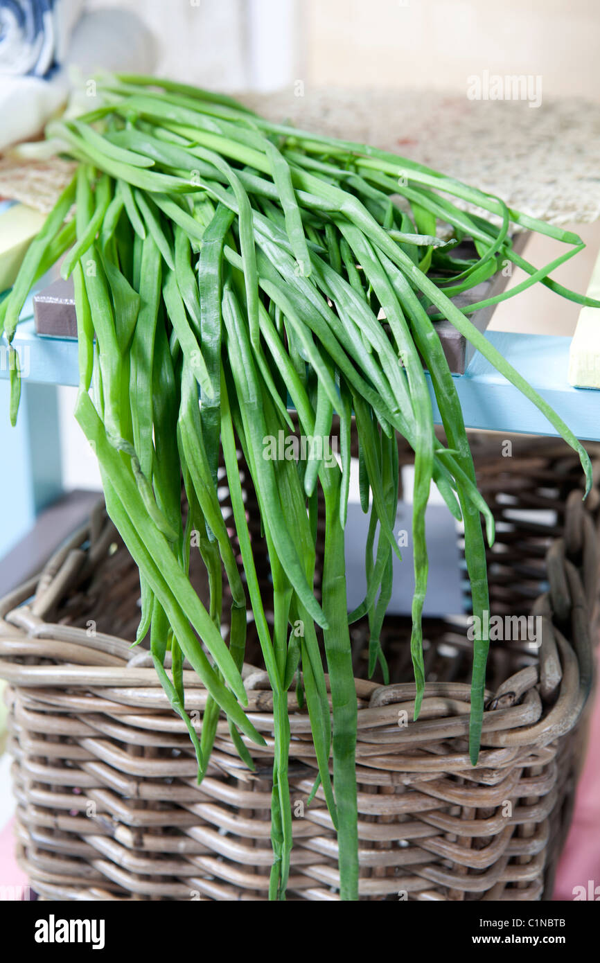 Fresh and wet green onion Stock Photo