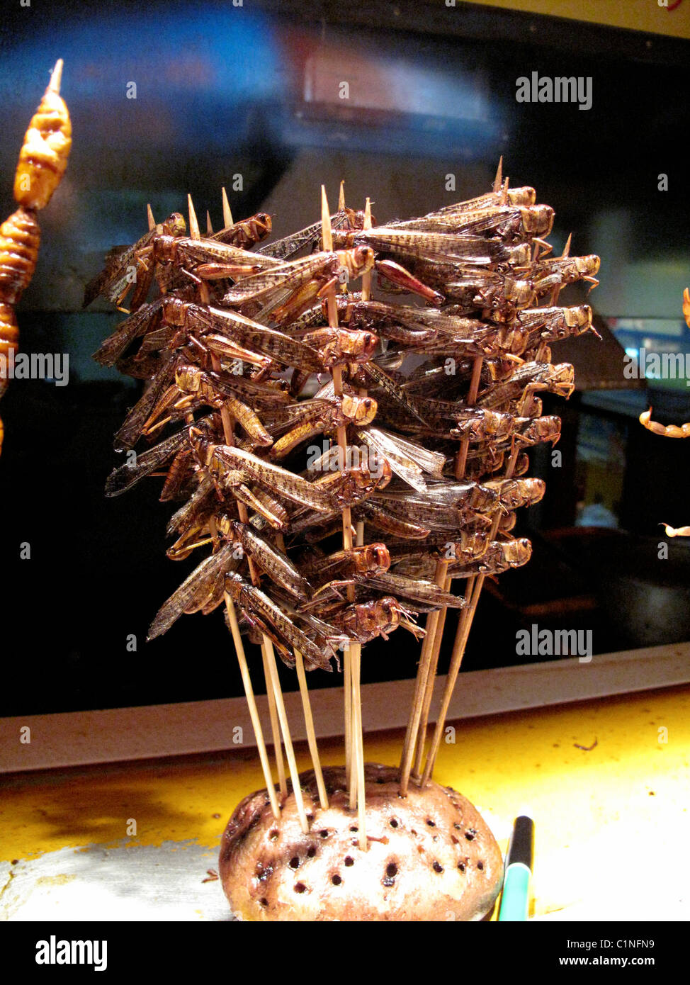 Locusts as food hires stock photography and images Alamy