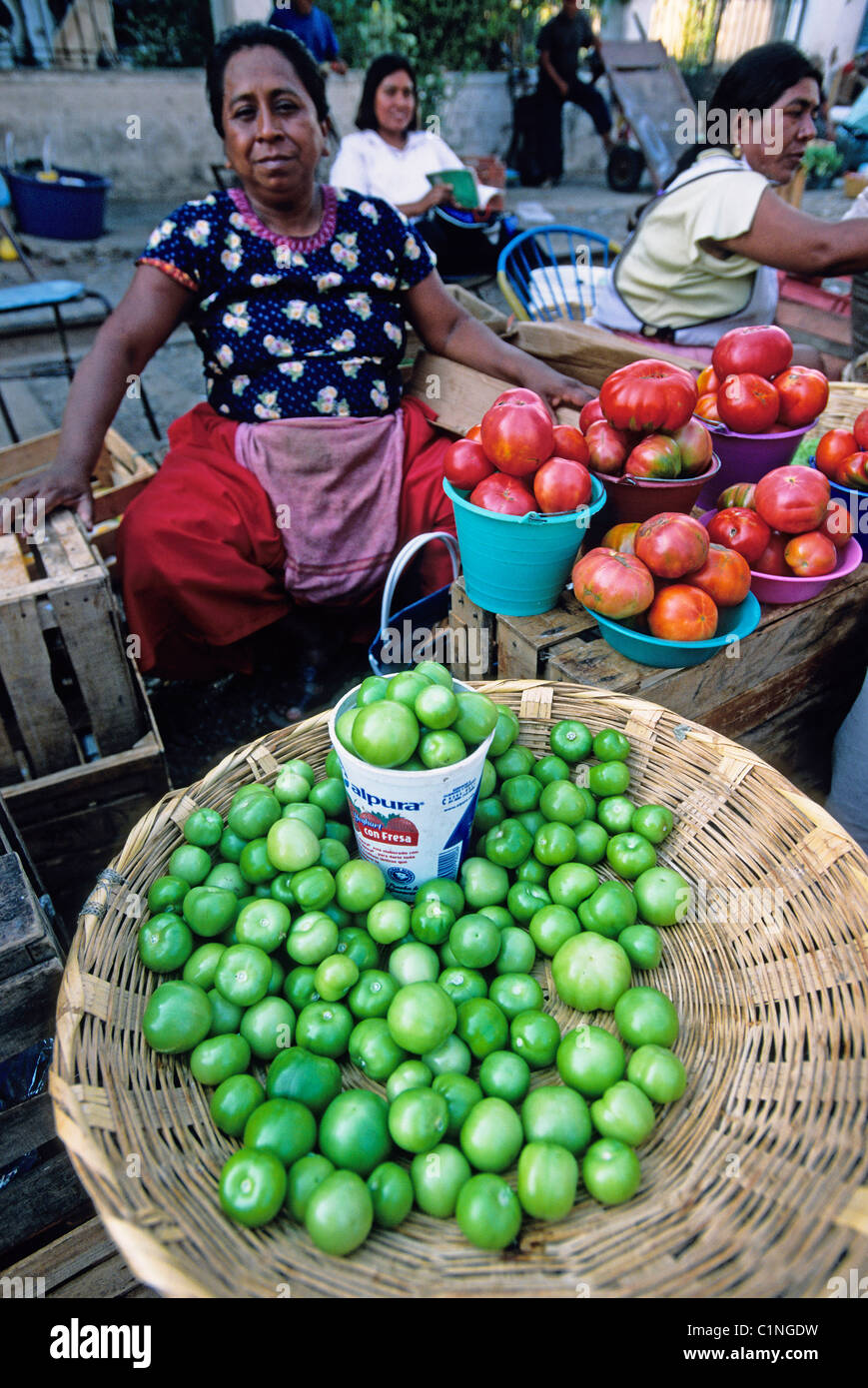 Mexico, Oaxaca State, Tehuantepec, tomatillos for making salsa verde Stock Photo