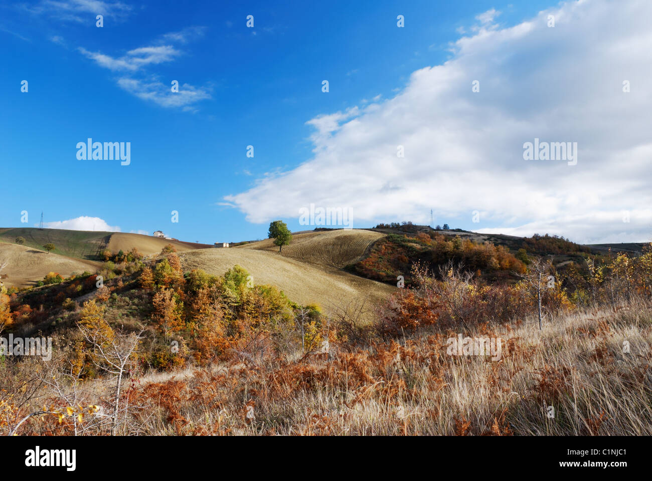 Dry grass and fall colors on hillside in center Italy Stock Photo