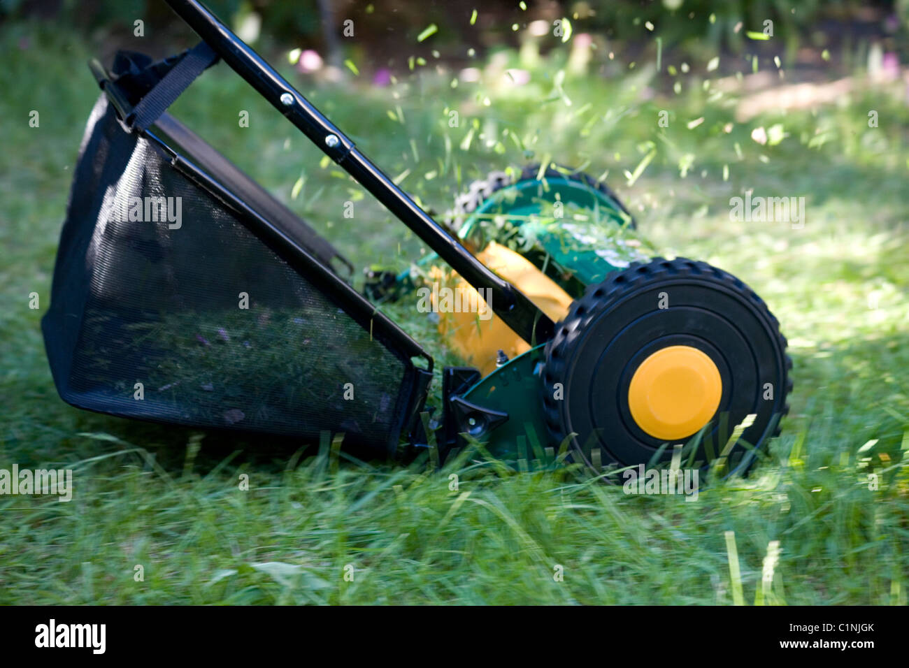 Hand push cylinder mower hi res stock photography and images Alamy