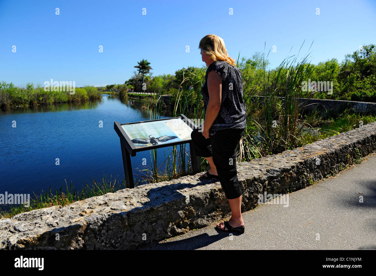 Visitors to Anhinga Trail Everglades National Park FL US Wildlife Eco System Nature Stock Photo