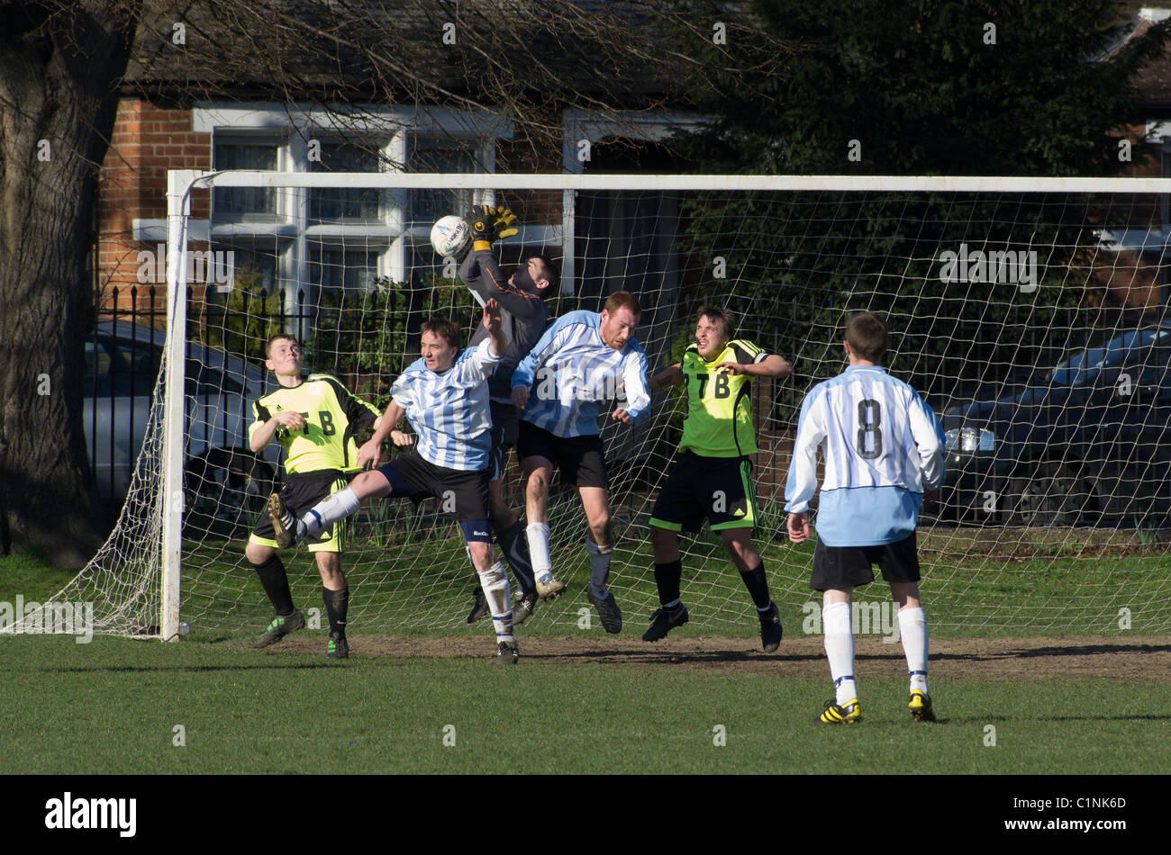 amateur football london Oil black sex