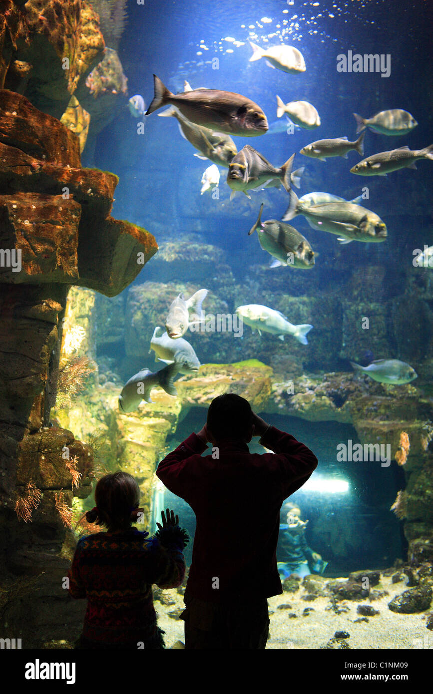 France, Charente Maritime, La Rochelle, the Aquarium Stock Photo Alamy