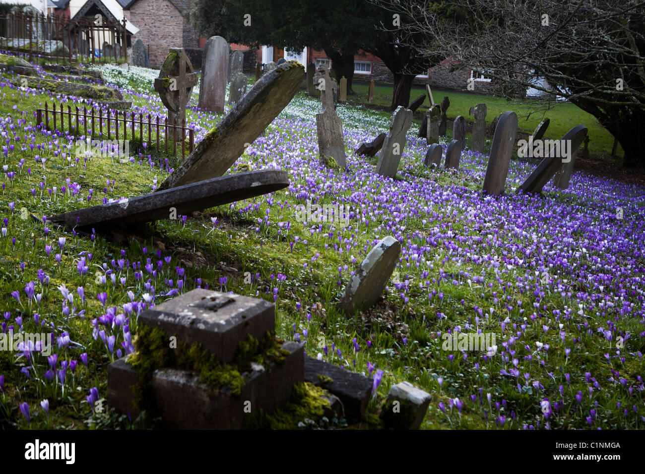 old cemetery in Dulverton Somerset Stock Photo Alamy