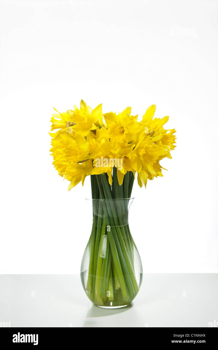 A bunch of spring daffodil flowers in a glass vase against a white background Stock Photo