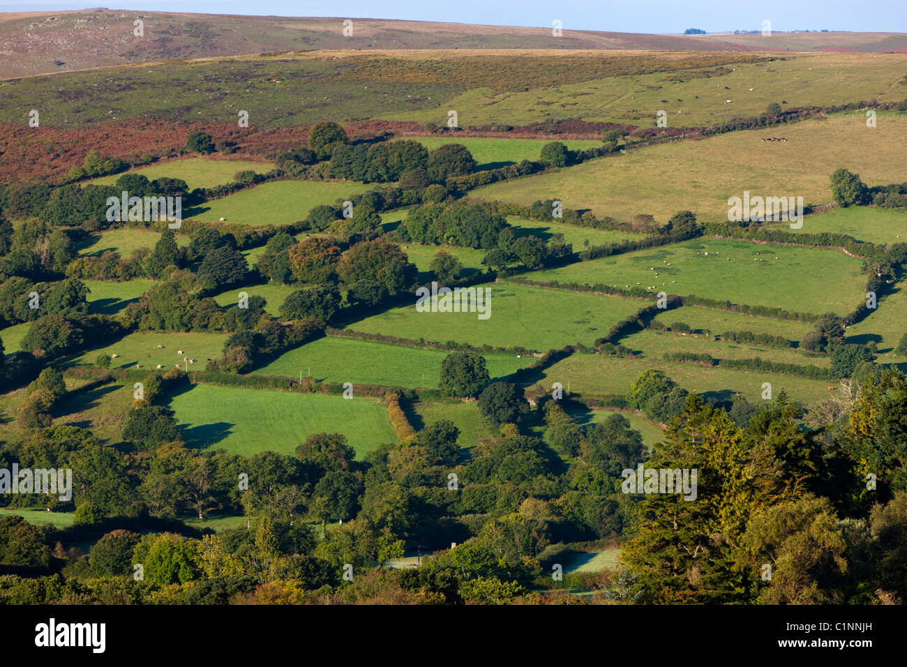 Patchwork fields in countryside. Widecombe in the Moor, Devon, England, United Kingdom, Europe Stock Photo