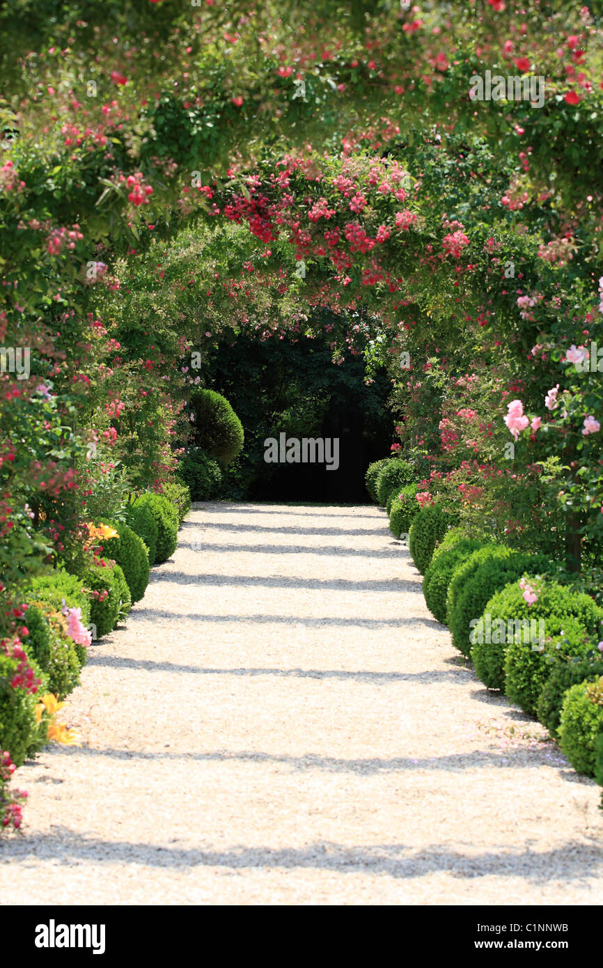 Climbing Pink Rose Arch High Resolution Stock Photography and Images ...