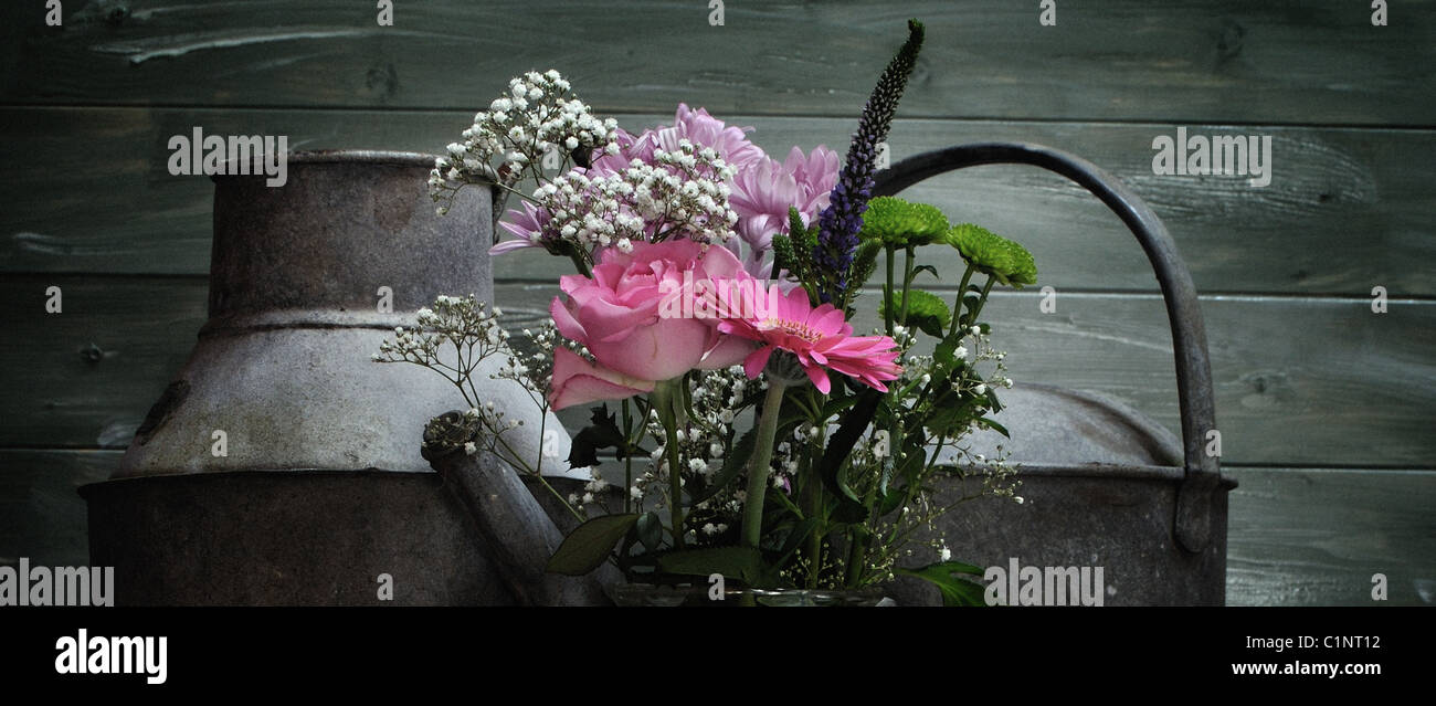 Flowers and watering can still life Stock Photo