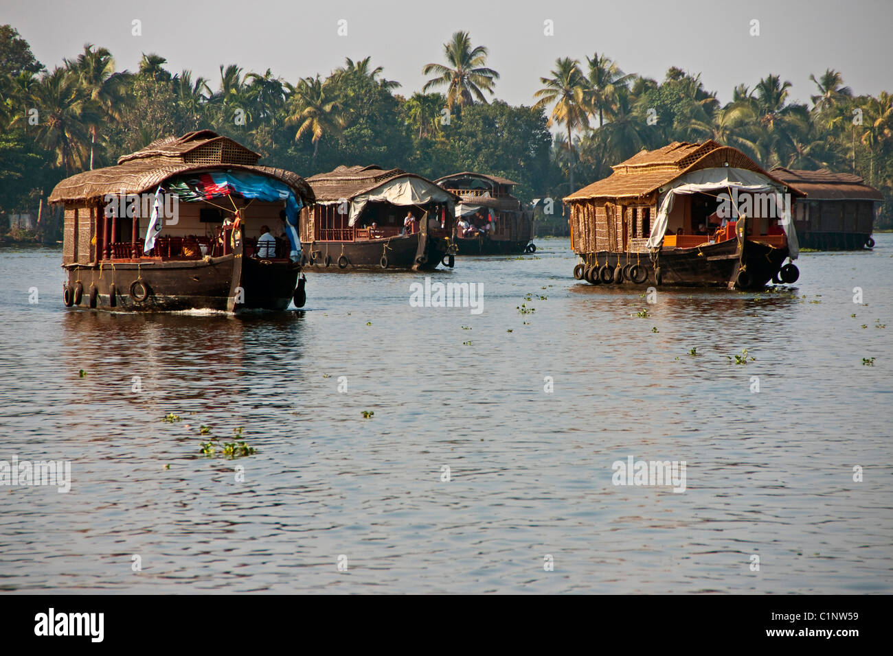 Houseboats cruising the tropical Kerala Backwaters on the Malabar coast of South India. Stock Photo