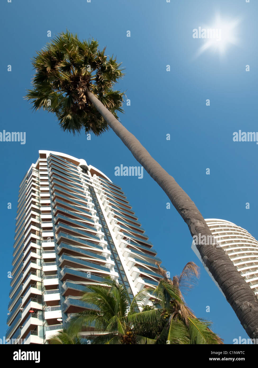 Palm trees modern buildings hi-res stock photography and images - Alamy