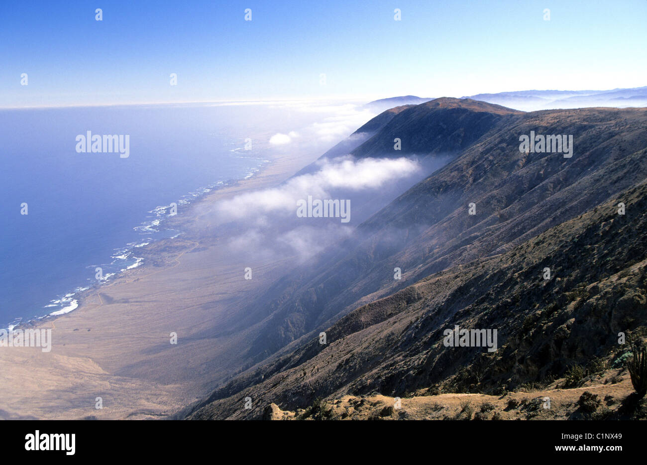 Chile, Atacama and Antofagasta Regions, Pan de Azucar National Park near Chanaral Stock Photo