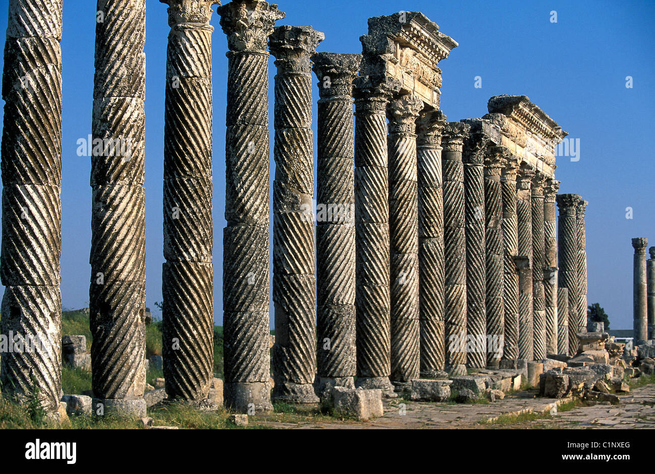 Apamea colonnade hi-res stock photography and images - Alamy